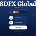 sdfx global login